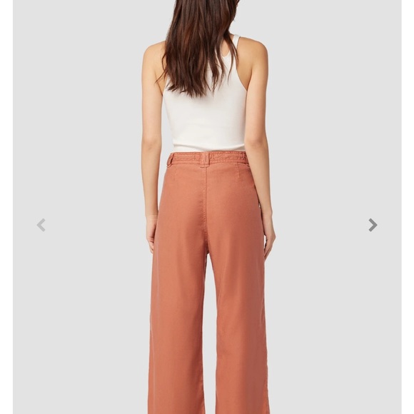 Hudson Size 34 Drawstring Bronze Pants NWT - Picture 5 of 9